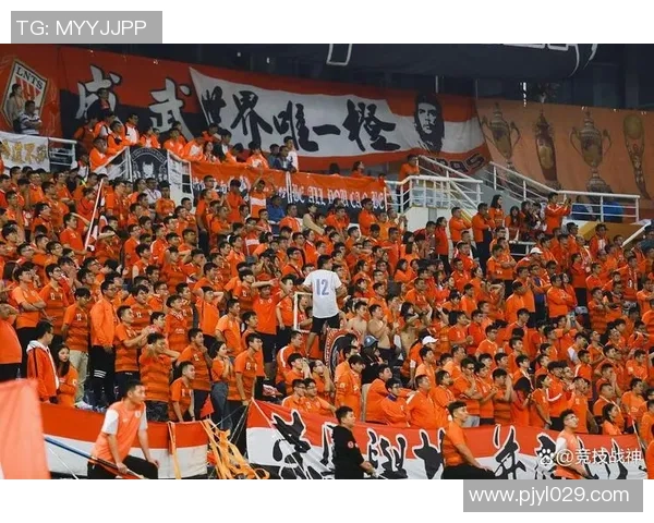 山东泰山主场迎战上海申花现场观众20766人上座率不高引发关注 山东泰山主场迎战上海申花现场观众20766人上座率不高引发关注