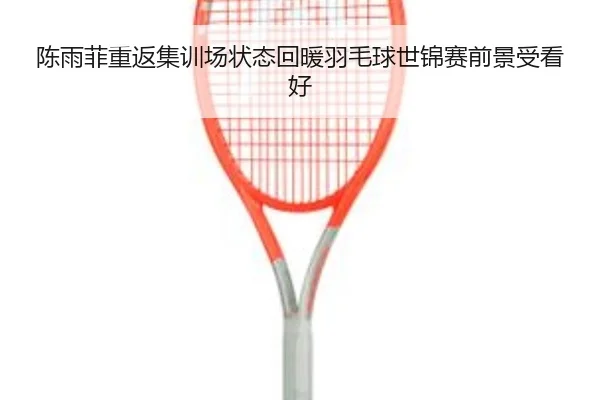 陈雨菲重返集训场状态回暖羽毛球世锦赛前景受看好