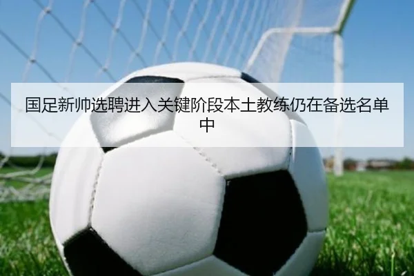 国足新帅选聘进入关键阶段本土教练仍在备选名单中